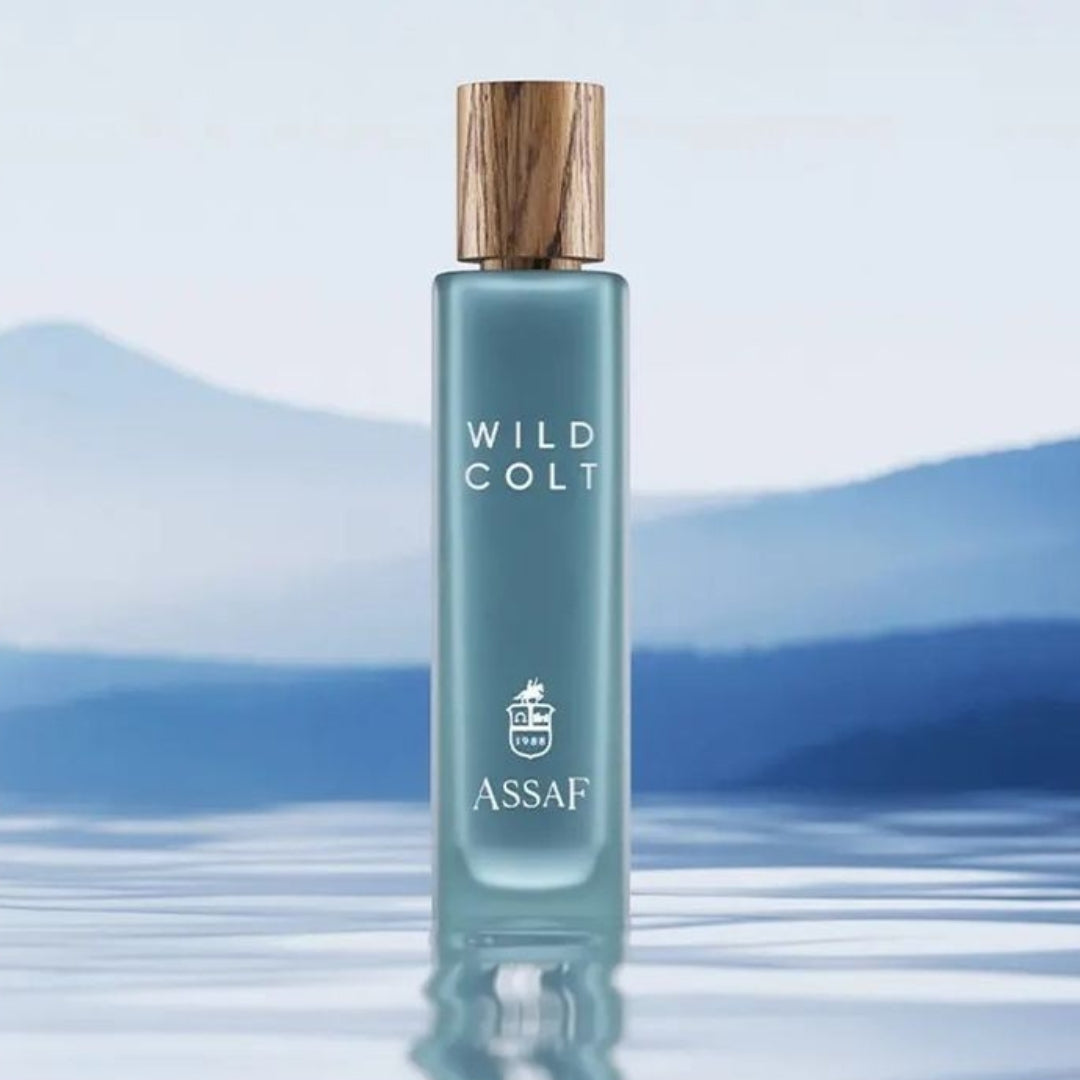 ASSAF WILD COLT+GRIS ERIK