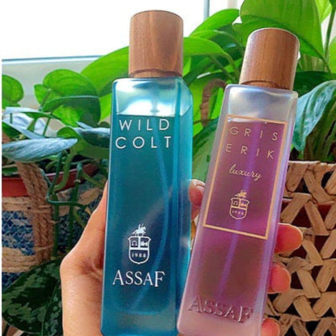 ASSAF WILD COLT+GRIS ERIK
